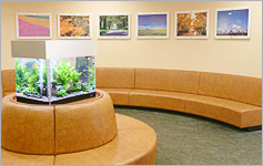 �����ҍ��̎ʐ^