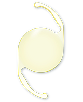 �N�����I���iClareon�j