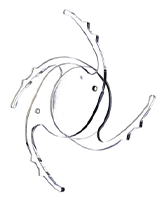 �L�����������Y2�iCamellens2�j