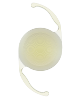 �p���I�v�e�B�N�X�iPanOptix�j