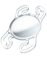 �C���e���V�e�B�iIntensity